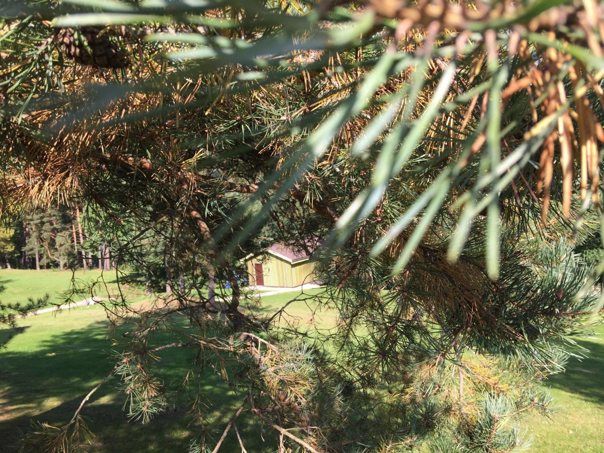 Kaimo Turizmo Sodyba Geras Leliunai Dış mekan fotoğraf